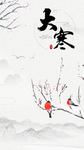 大寒