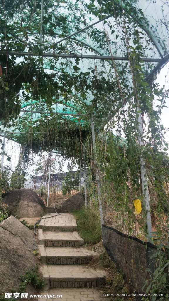 户外美景
