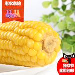 玉米