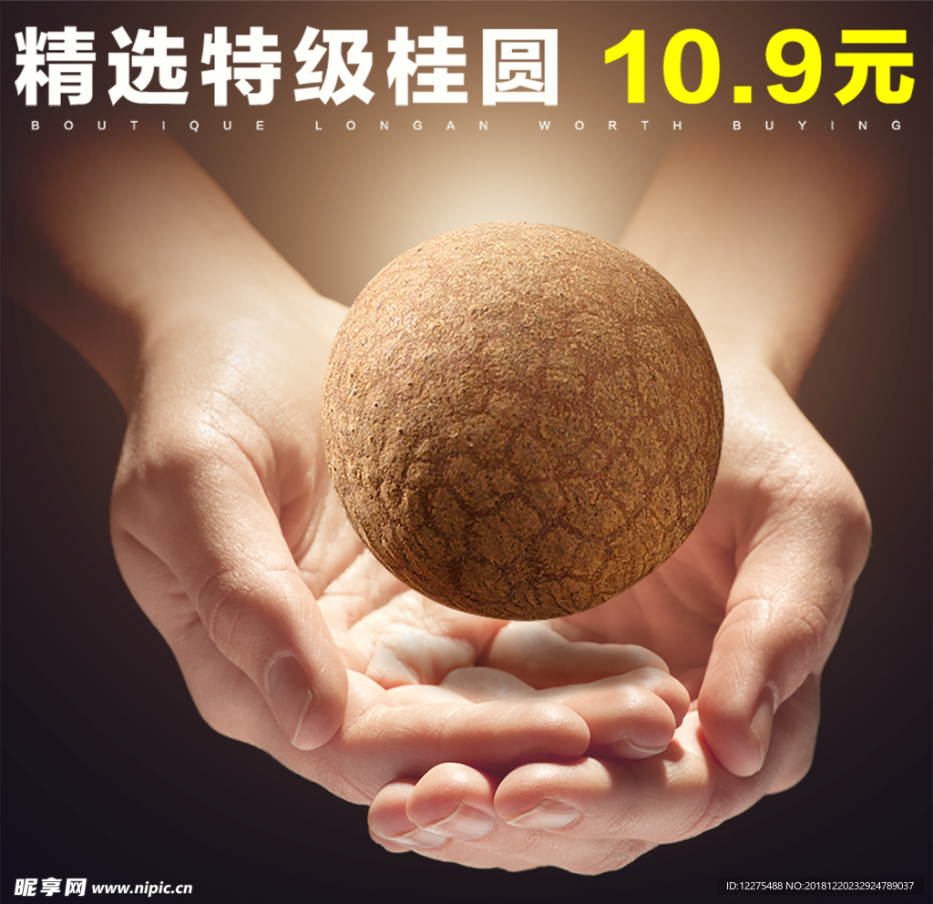 桂圆