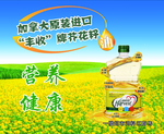 芥花籽