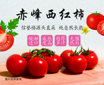 西红柿