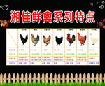 湘佳鸡