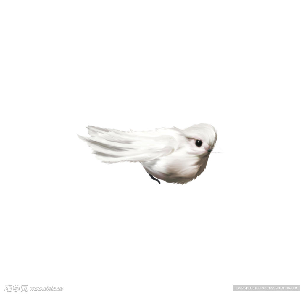 鸟