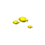 鱼