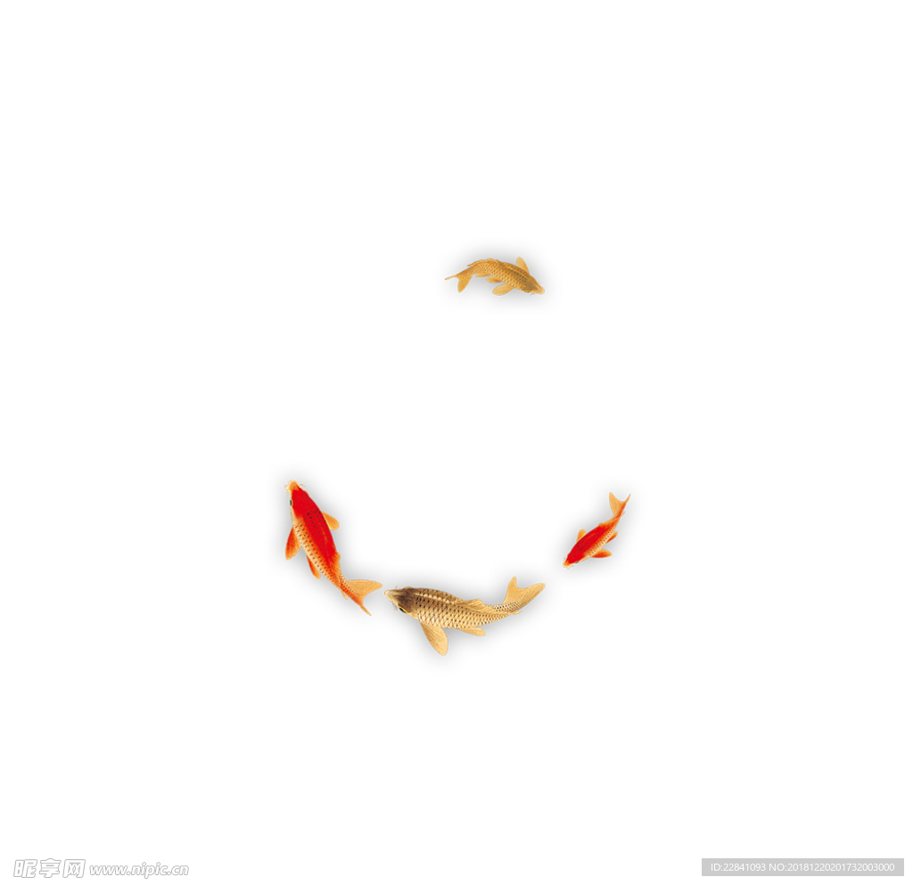 鱼
