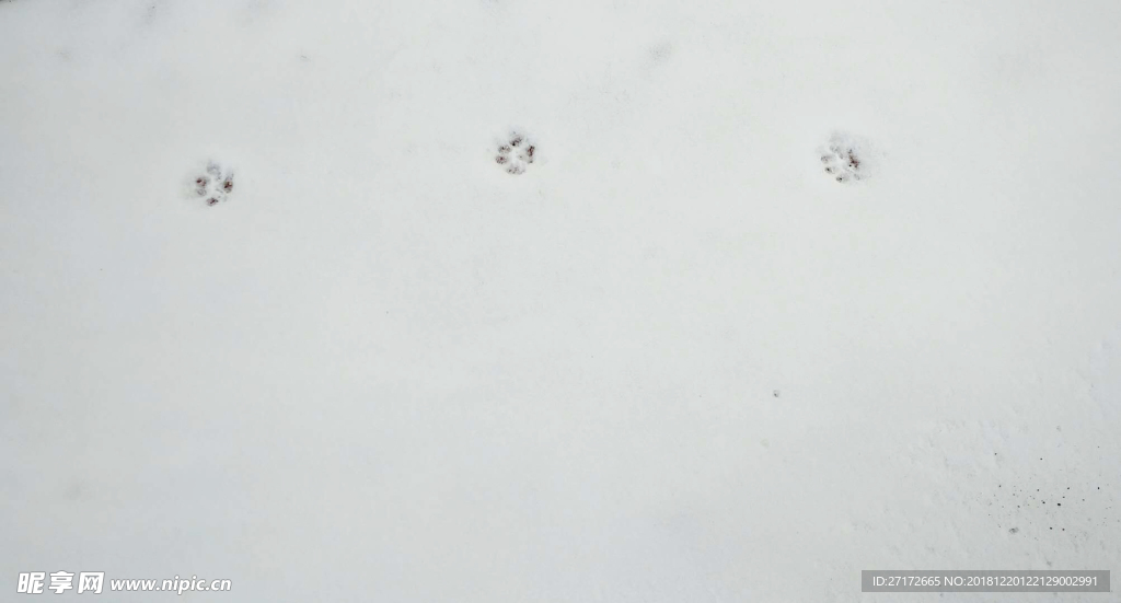 雪地
