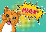 可爱猫猫