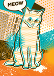 性感时尚猫