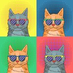 时尚猫先生
