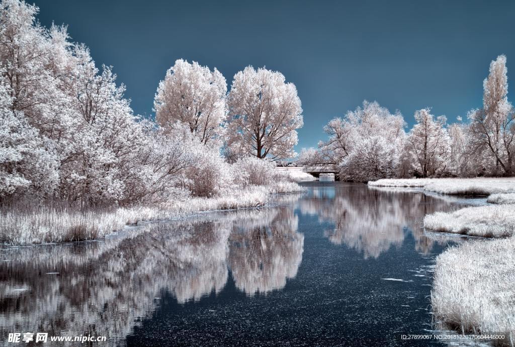 雪景