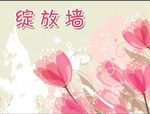 绽放墙