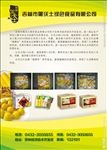 产品海报