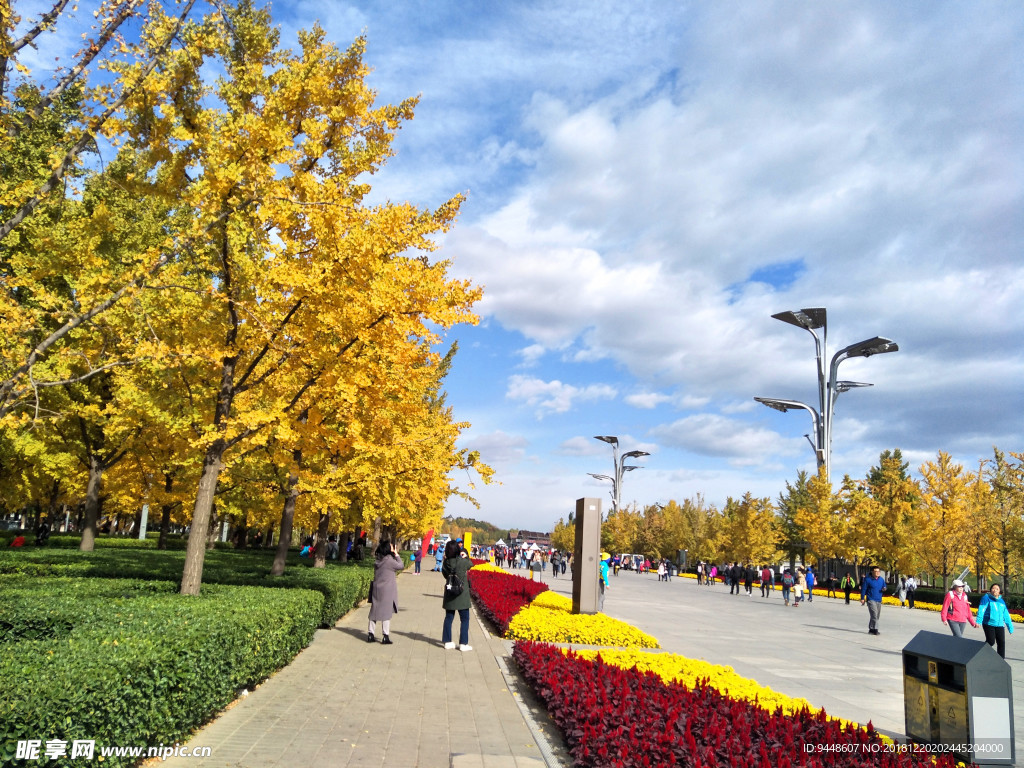 奥林匹克公园