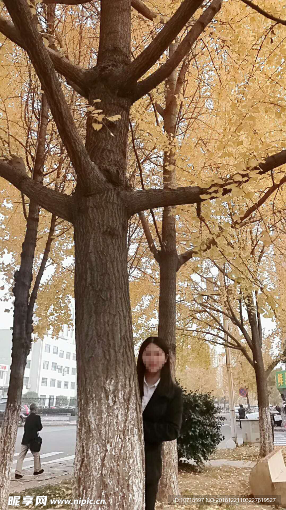 自然美景