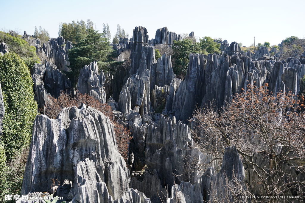 云南 石林景区 风光