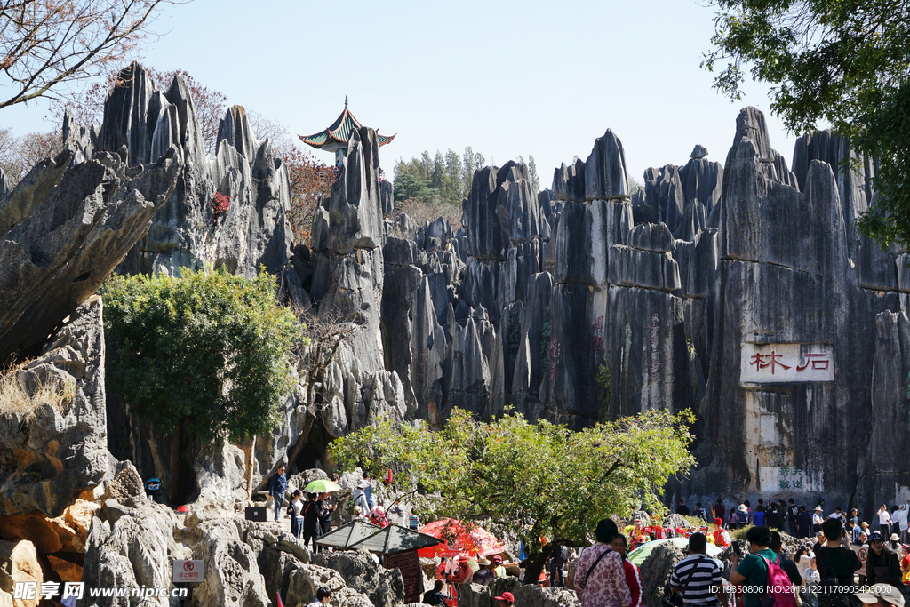 云南石林景区 风景