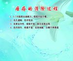 痤疮的消除过程
