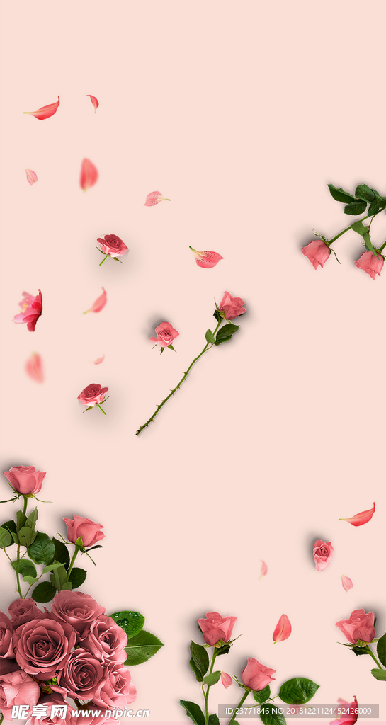 玫瑰花背景