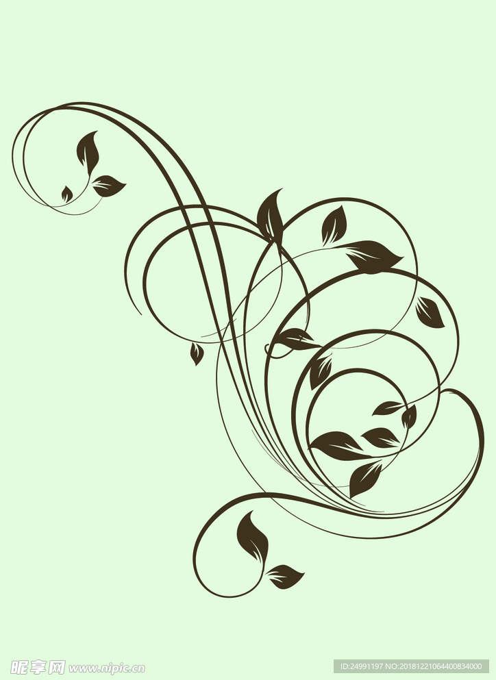 矢量花纹