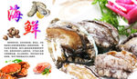 鲍鱼