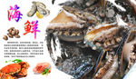 鲍鱼
