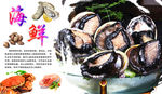 鲍鱼