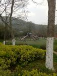 宜兴风景