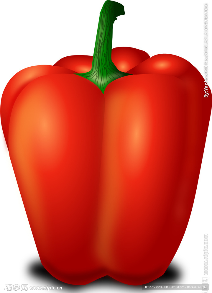 灯笼椒矢量素材