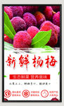 杨梅海报