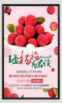 杨梅海报