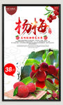杨梅海报