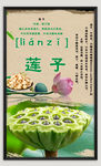莲子