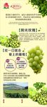水果营行  展架 葡萄海报