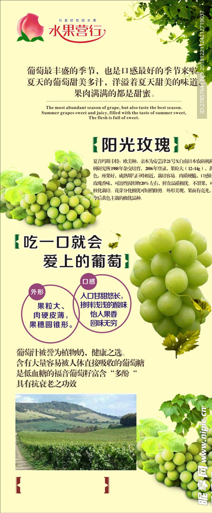 水果营行  展架 葡萄海报