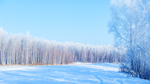 雪林