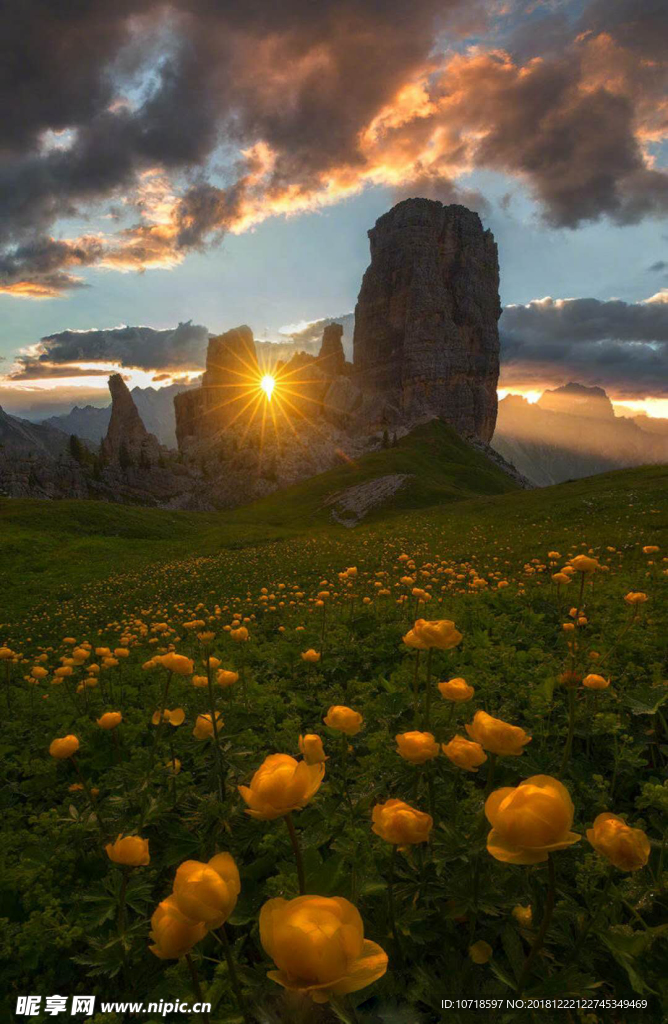 户外风景