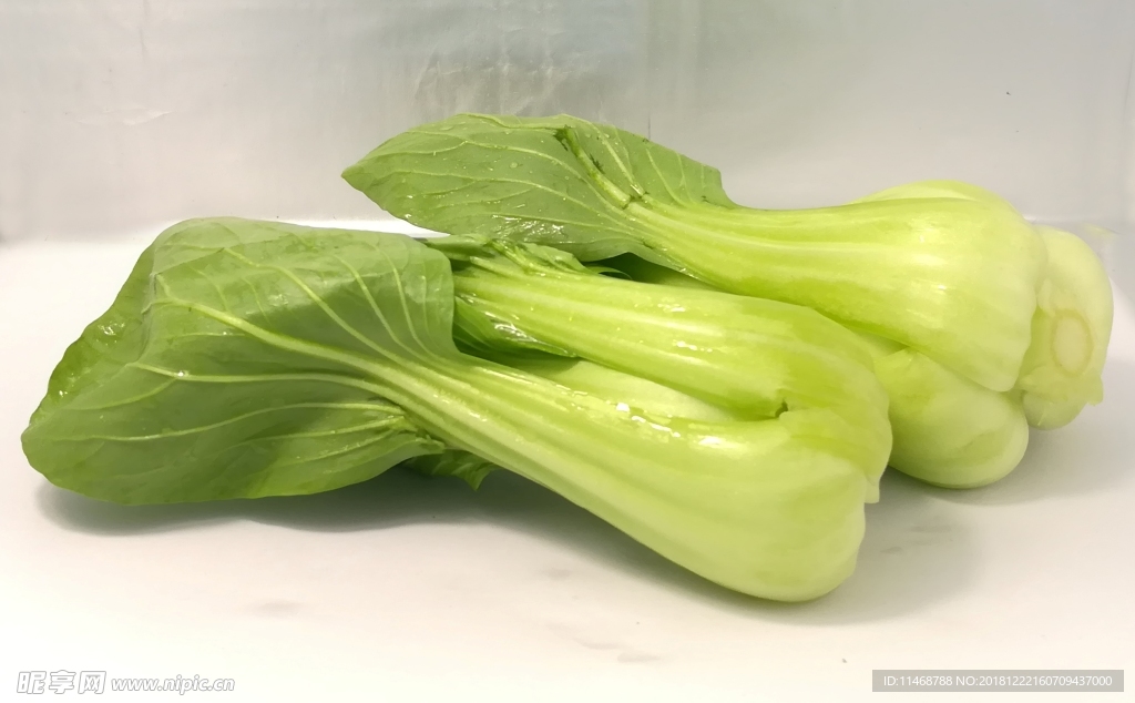 油菜