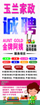 家政 招聘 诚聘 金牌阿姨