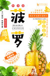 菠萝