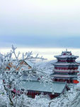 冬天背景
