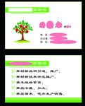 果树名片