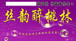 葫芦丝 竹笛