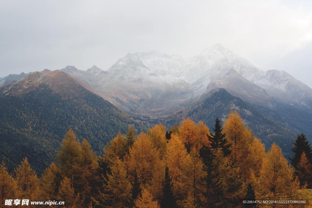 壮丽的大山风景