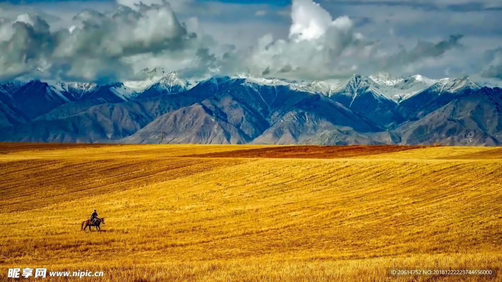 美丽的草原风景