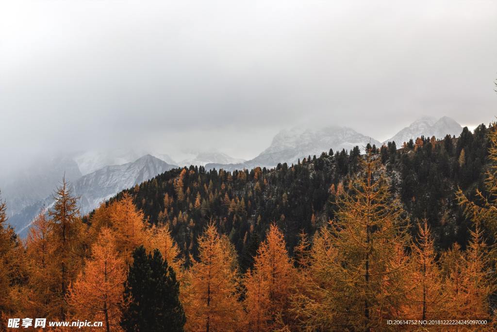 美丽的高山风景
