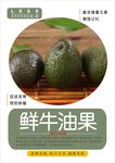 牛油果海报