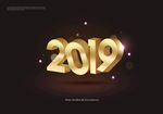 2019猪年