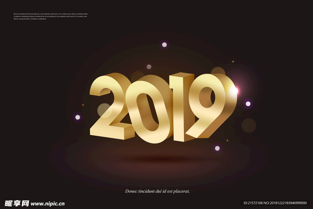 2019猪年