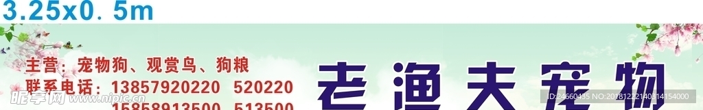 宠物